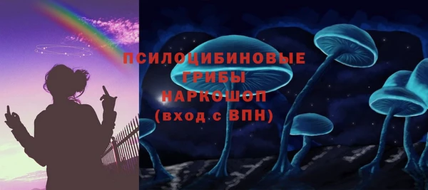 прущие грибы Армянск