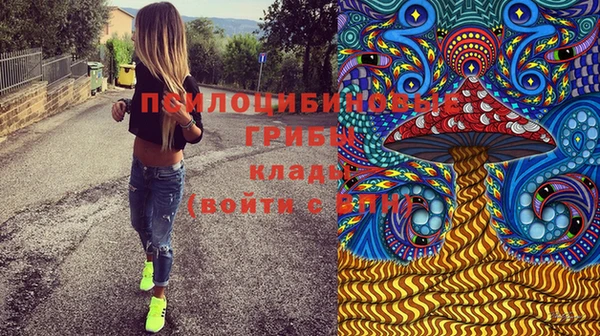 прущие грибы Армянск