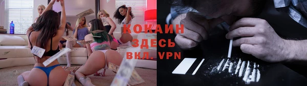 прущие грибы Армянск