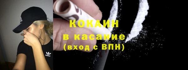 прущие грибы Армянск