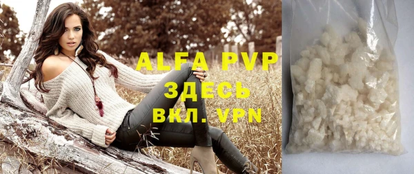 прущие грибы Армянск