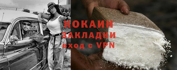 прущие грибы Армянск