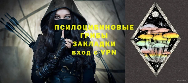 бошки Аркадак