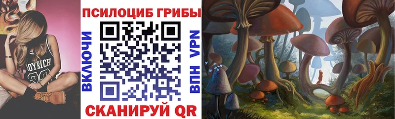 Галлюциногенные грибы GOLDEN TEACHER  Суджа 